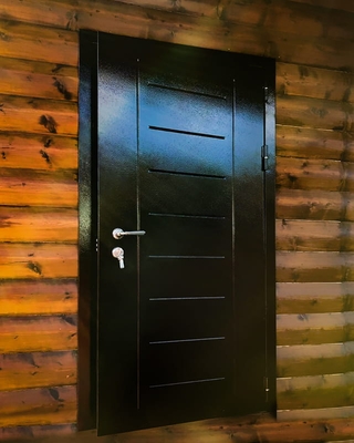 Порошковая дверь с рисунком на металле Порошковая дверь с рисунком на металле